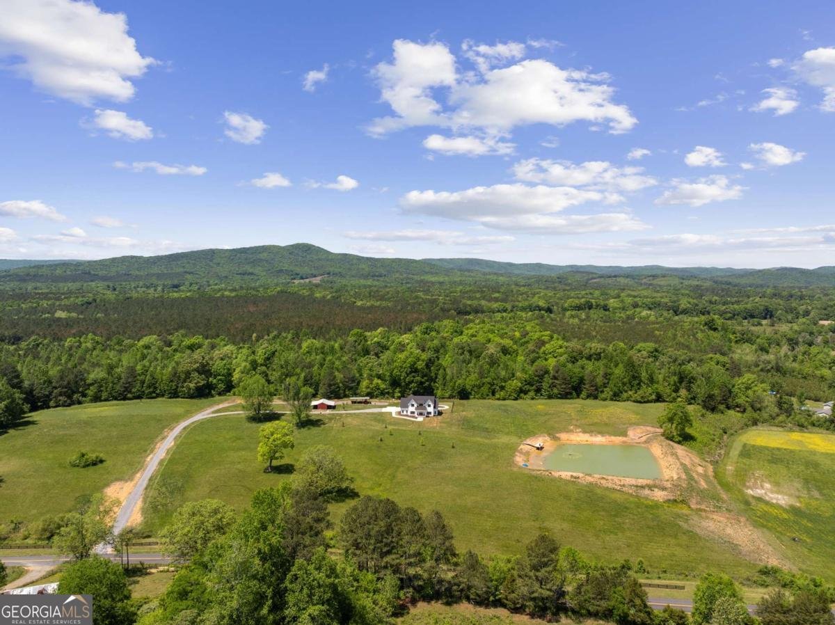 876 Cline Road Resaca - Photo 51