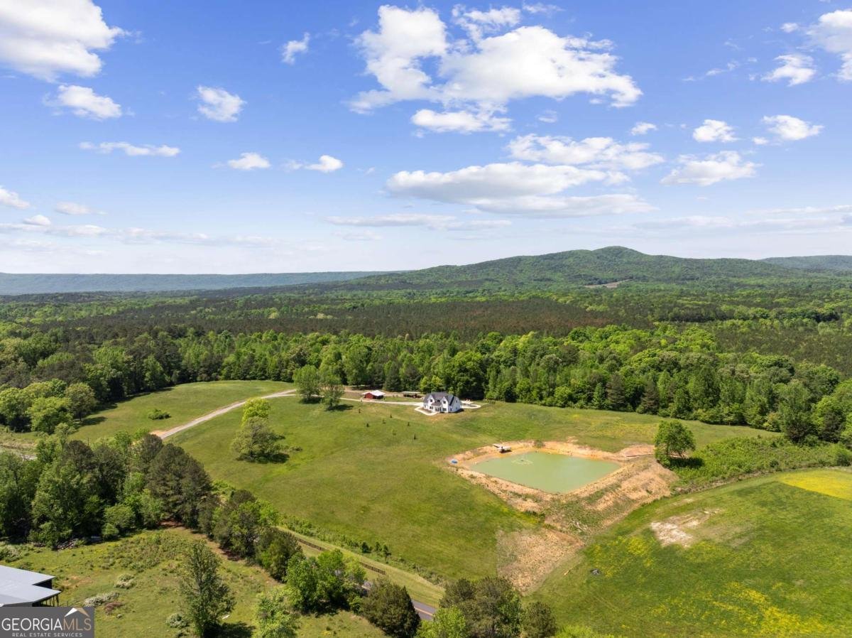 876 Cline Road Resaca - Photo 52