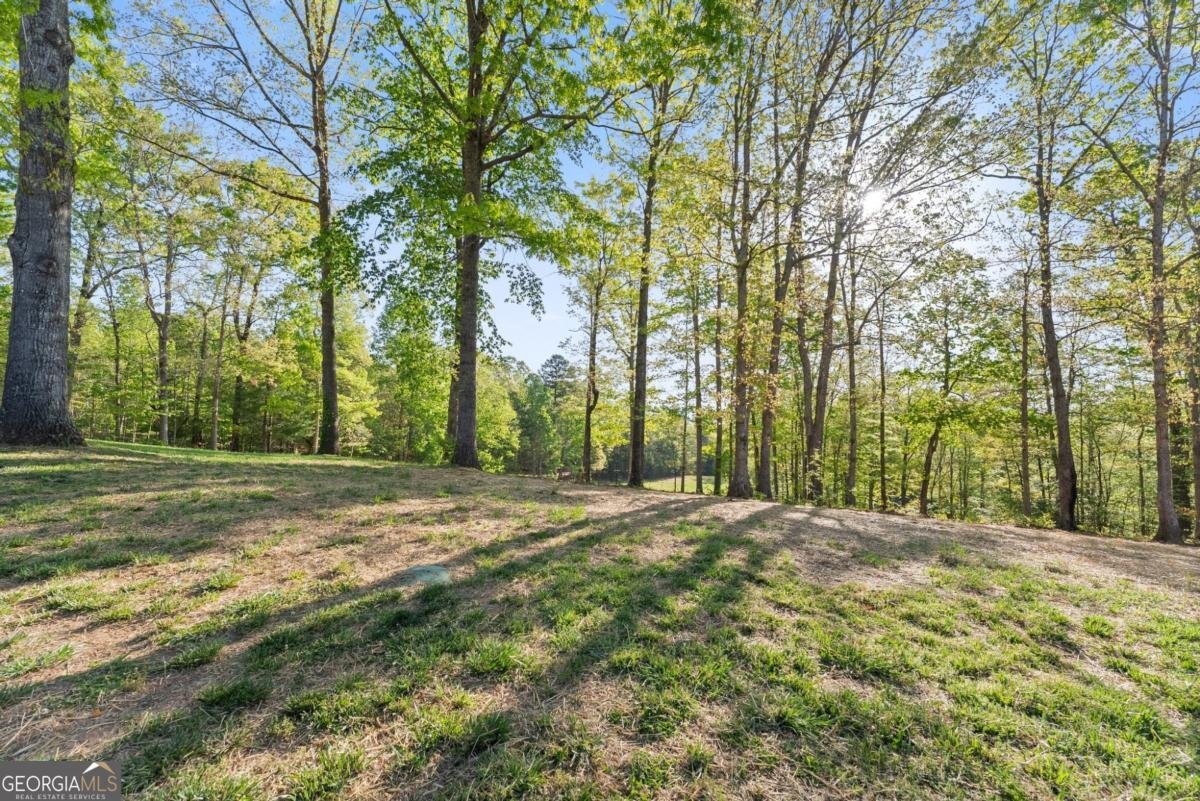 150 Unicorn Trail Blairsville - Photo 9