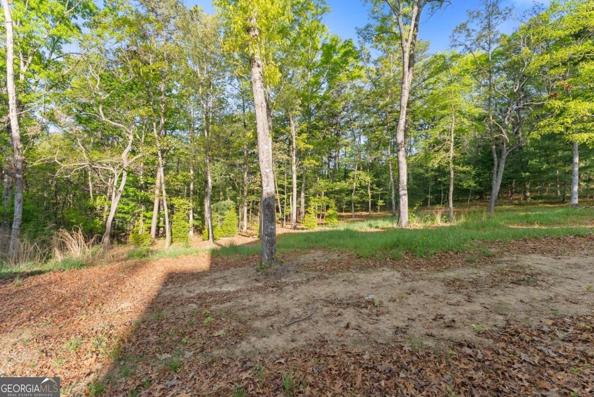 150 Unicorn Trail Blairsville - Photo 96