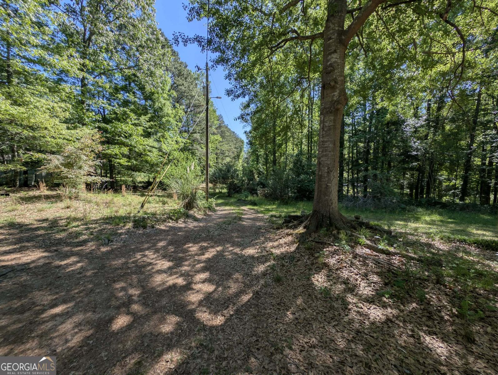 460 Etheridge Mill Road Milner - Photo 24