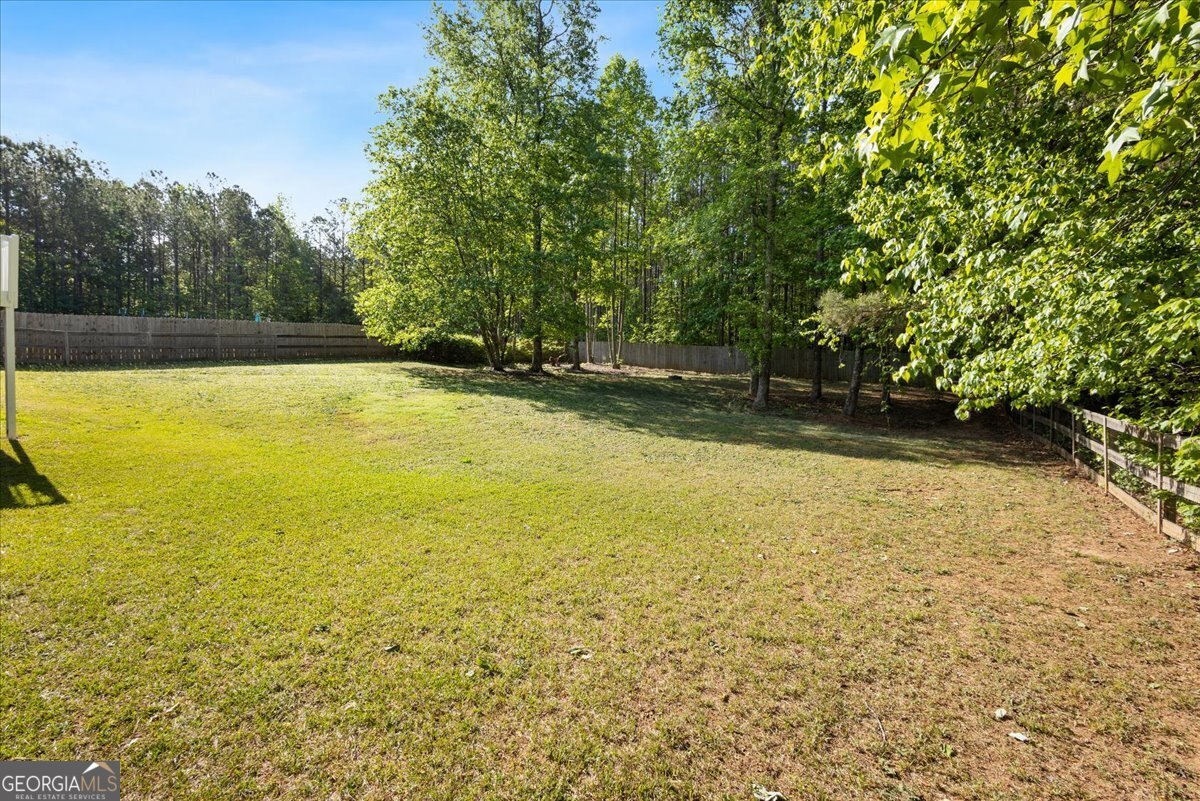 62 Jackson Farms Drive Rockmart - Photo 9