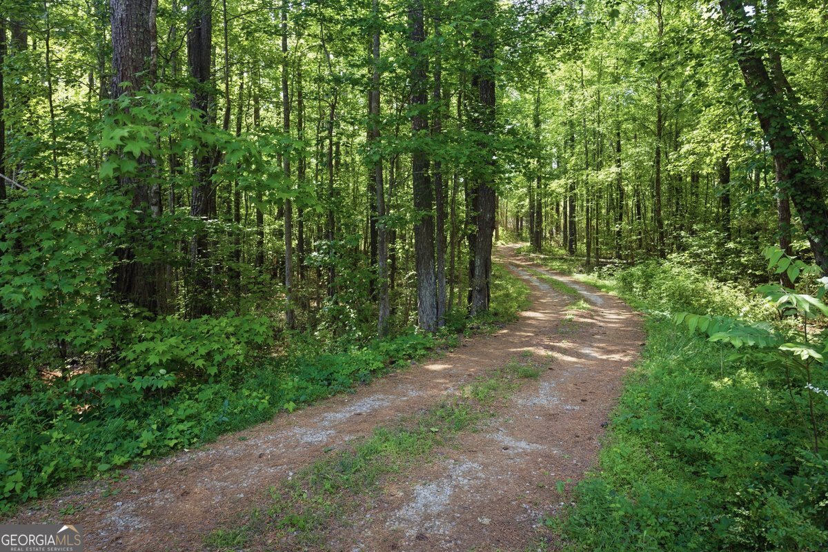 684 Mills Drive Covington - Photo 15