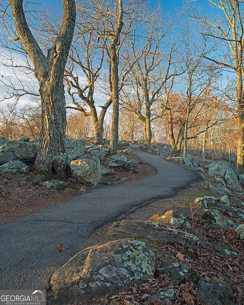 1228 Parkside Village Drive Marietta - Photo 79