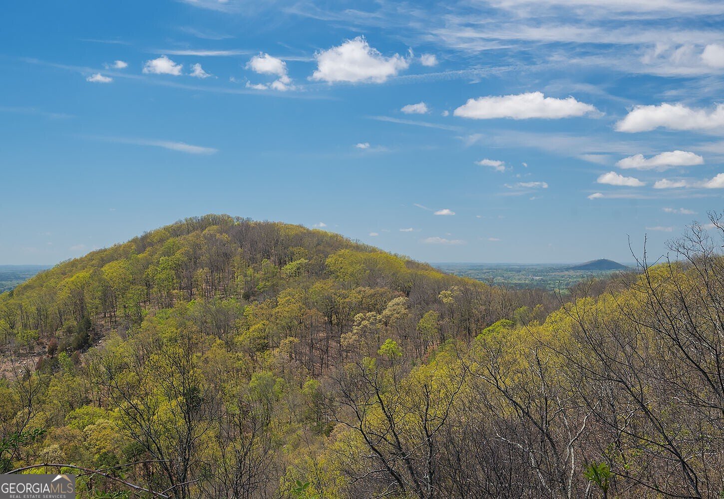 1228 Parkside Village Drive Marietta - Photo 80