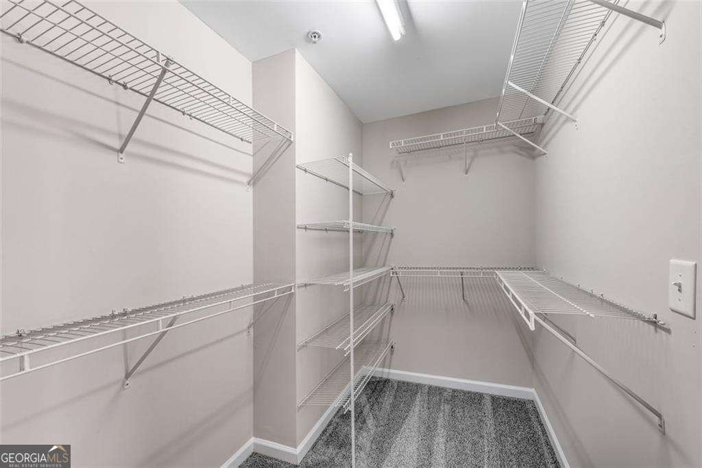 268 Balaban Circle Woodstock - Photo 30