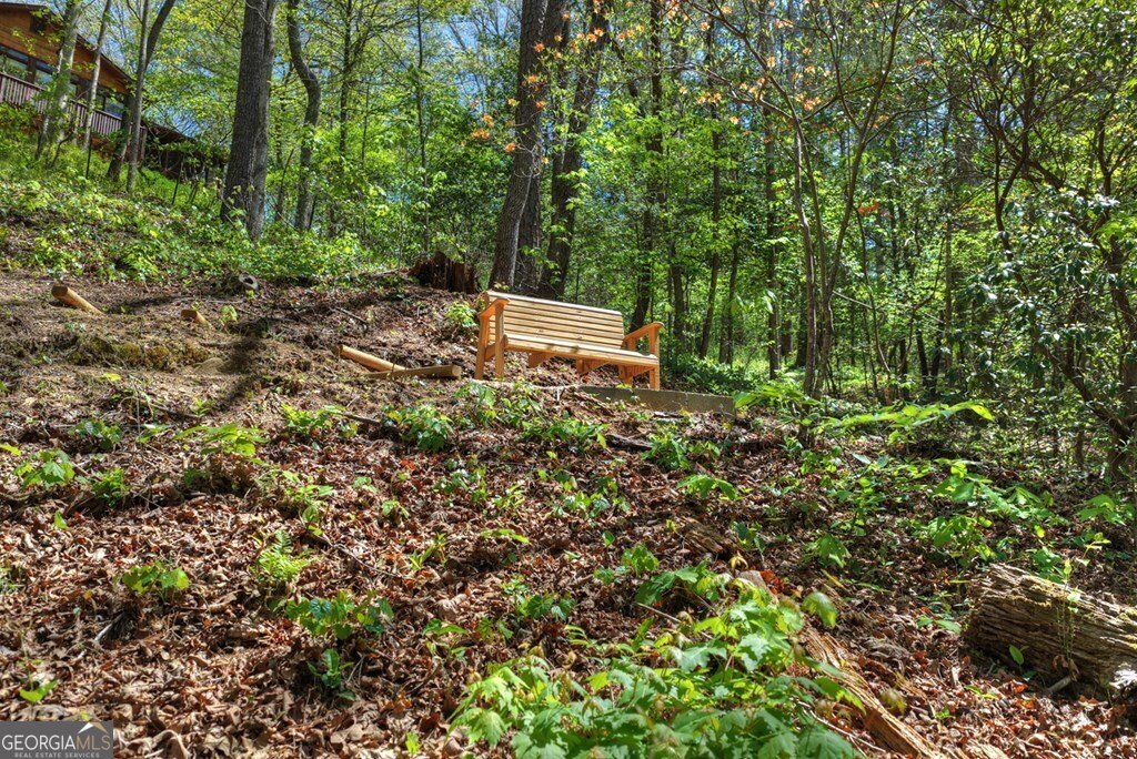 509 Ponderosa Ellijay - Photo 10