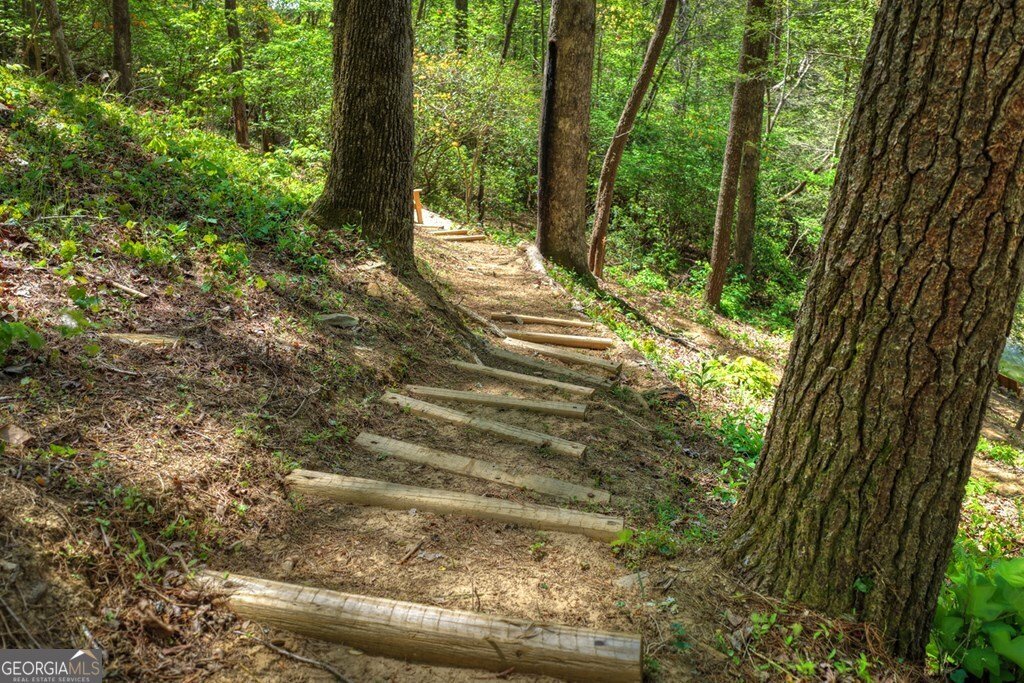 509 Ponderosa Ellijay - Photo 12