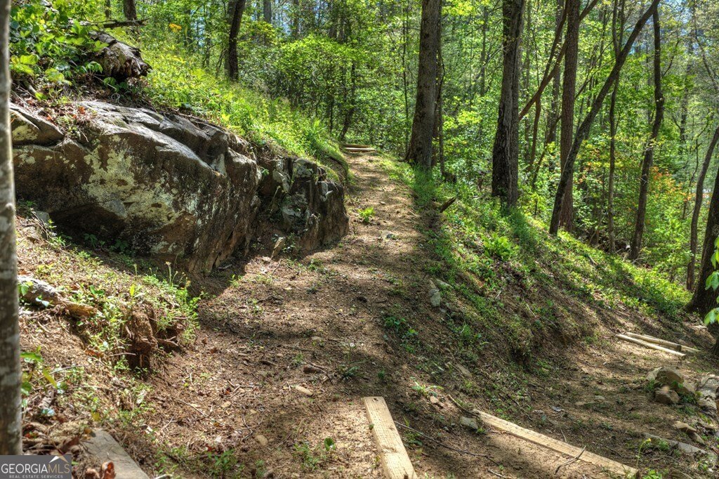 509 Ponderosa Ellijay - Photo 13