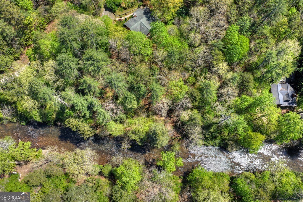 509 Ponderosa Ellijay - Photo 15