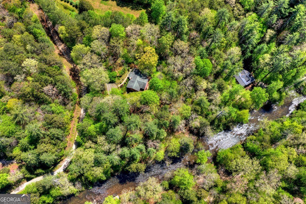 509 Ponderosa Ellijay - Photo 16