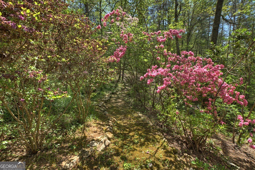 509 Ponderosa Ellijay - Photo 23