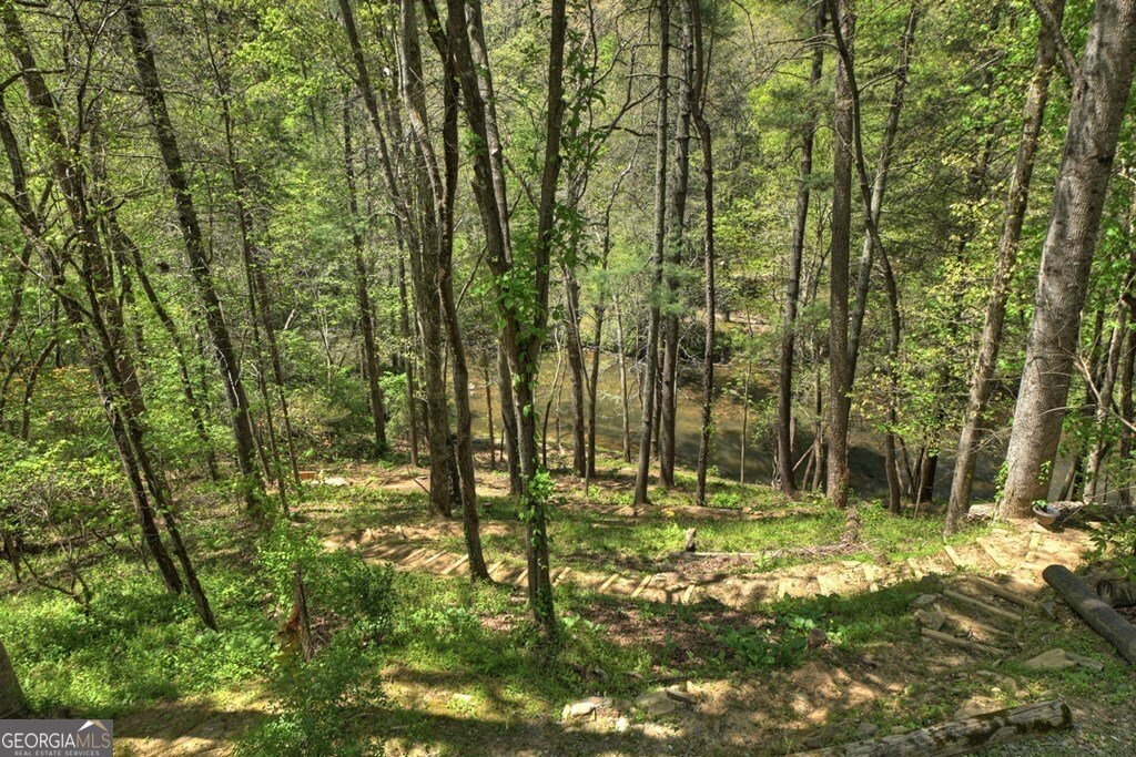 509 Ponderosa Ellijay - Photo 54