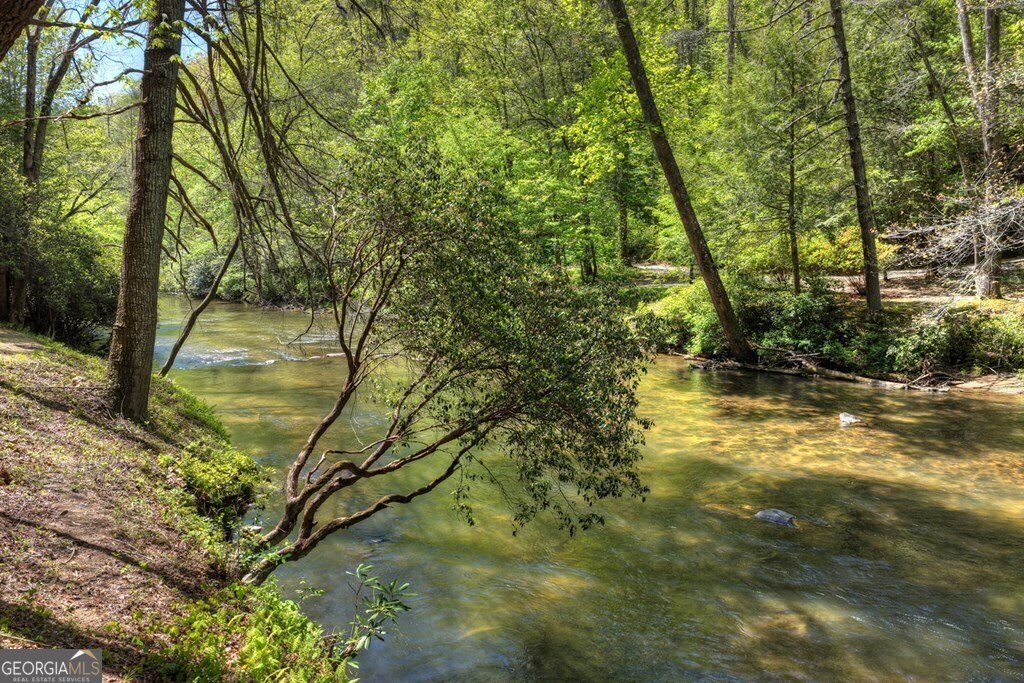 509 Ponderosa Ellijay - Photo 6