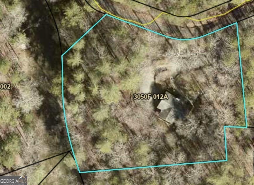 509 Ponderosa Ellijay - Photo 67