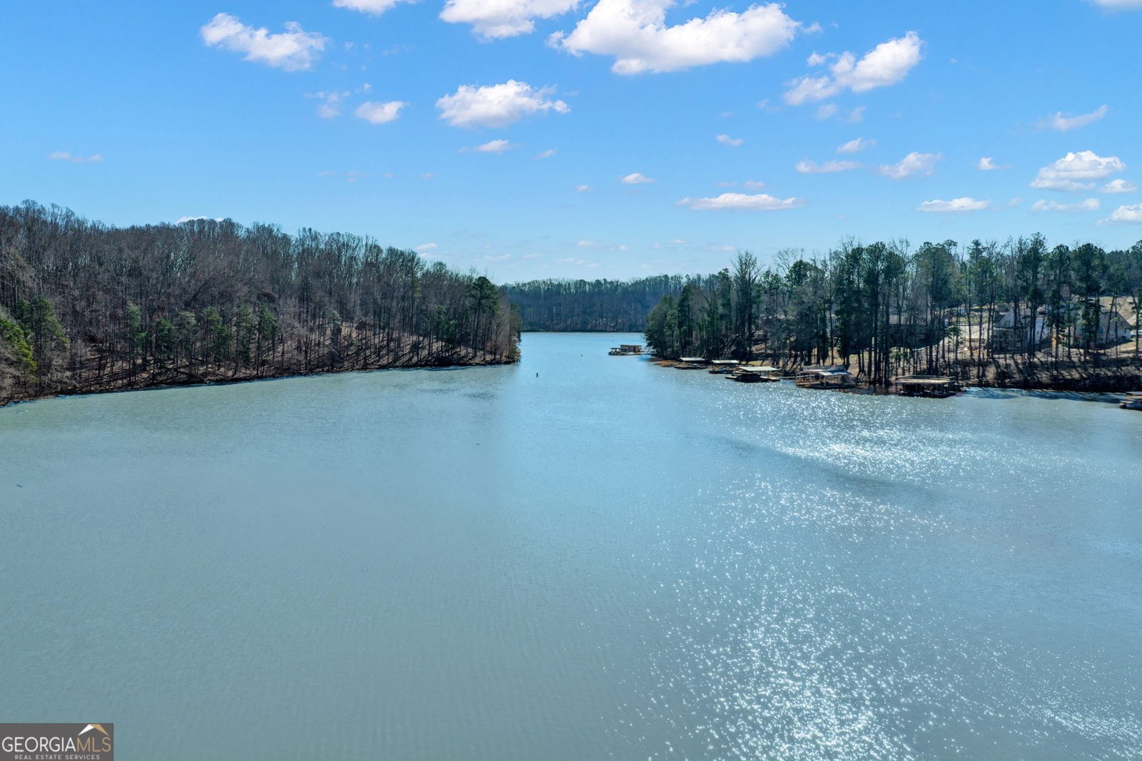 5345 Green Cove Road Gainesville - Photo 53