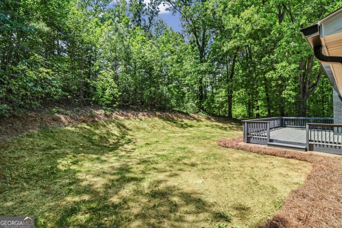 123 Trickum Hills Drive Woodstock - Photo 38