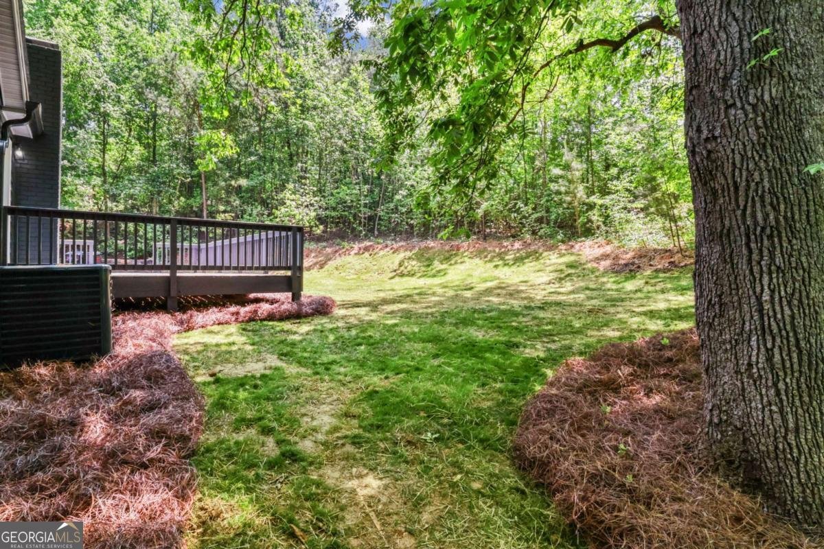 123 Trickum Hills Drive Woodstock - Photo 41