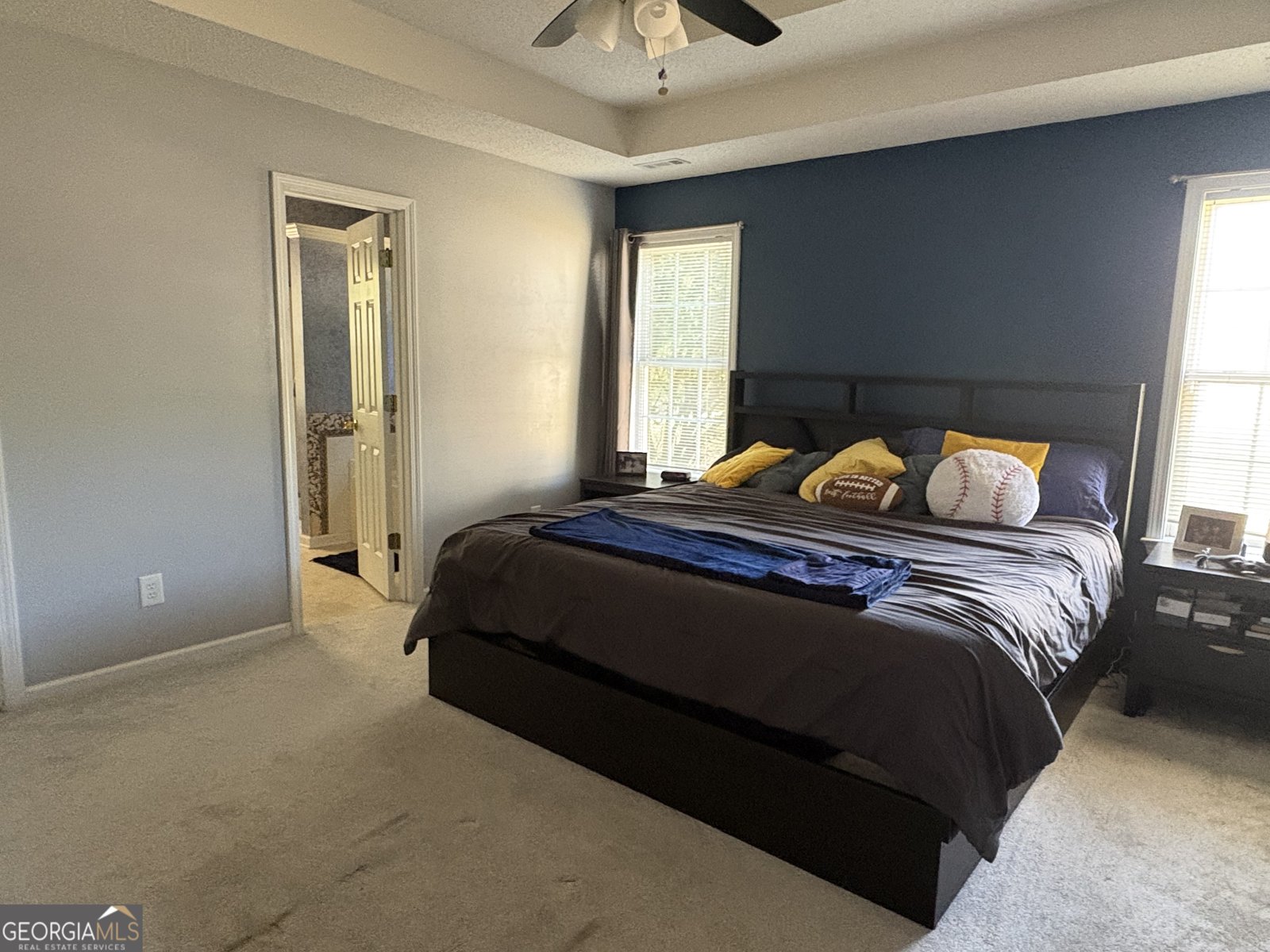 225 Pegasus Trace Newnan - Photo 16