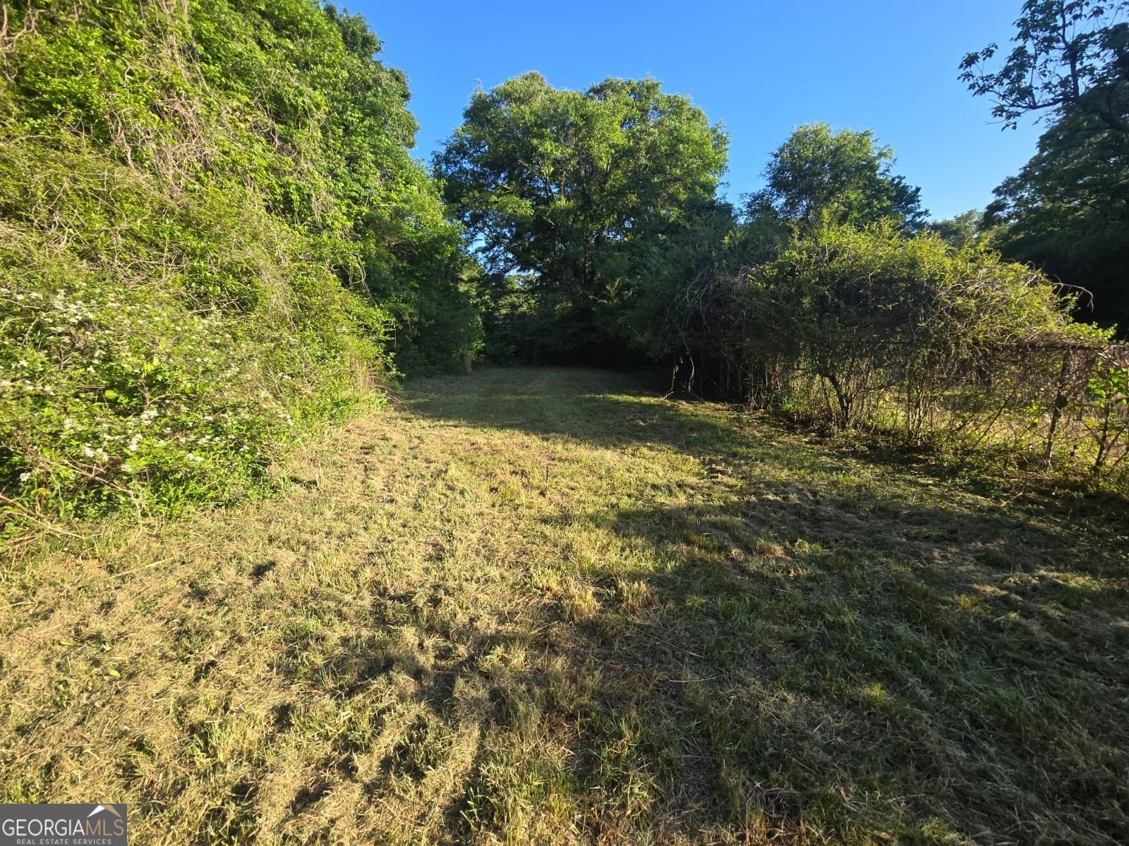 101 Smith Road Newnan - Photo 9