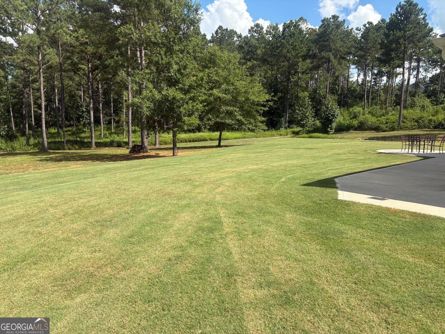 202 Millwood Court LaGrange - Photo 42