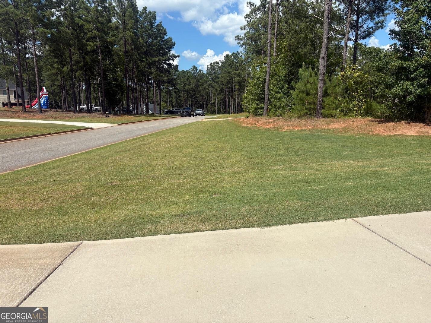 202 Millwood Court LaGrange - Photo 44