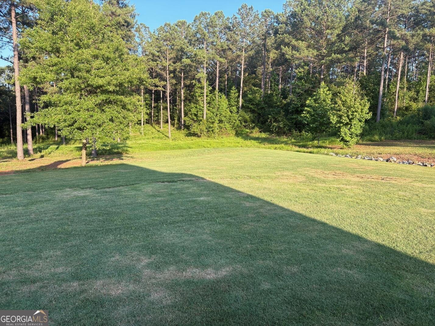 202 Millwood Court LaGrange - Photo 46