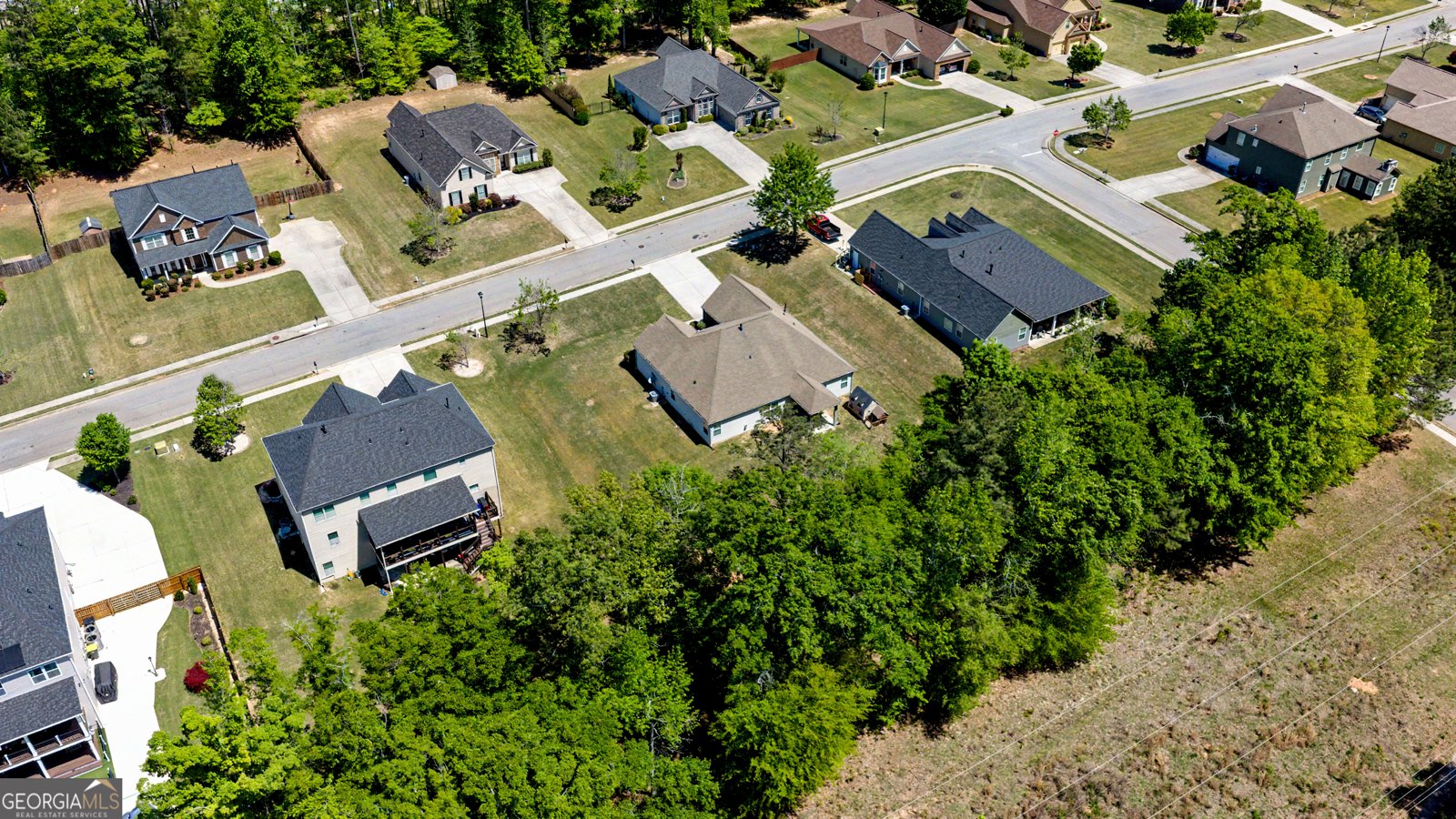 170 Savannah Drive Senoia - Photo 37