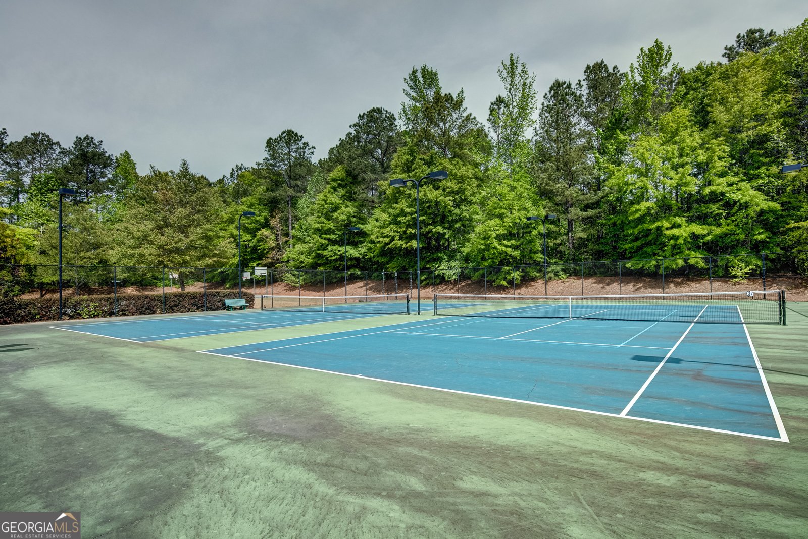 170 Savannah Drive Senoia - Photo 45