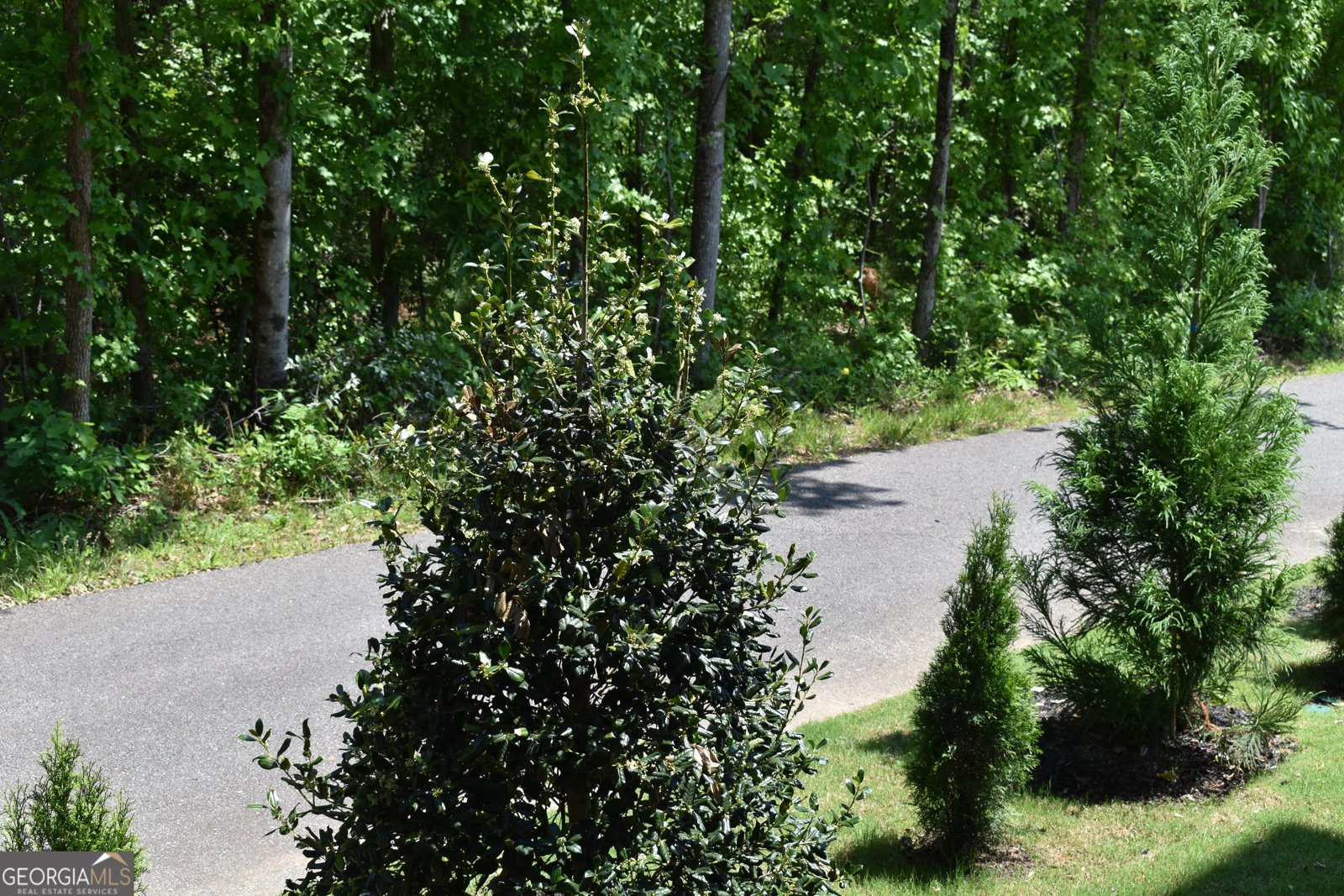 1050 Blair Ln Peachtree city - Photo 30