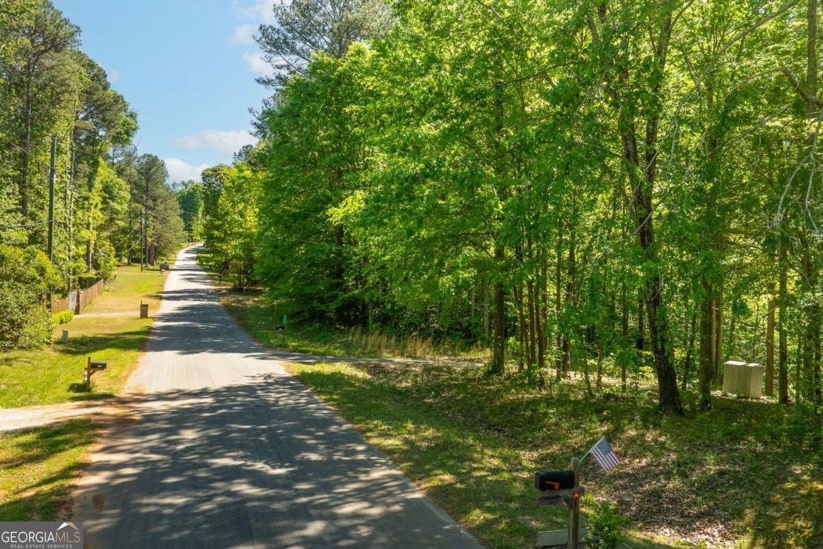 5381 Forest Way Braselton - Photo 19