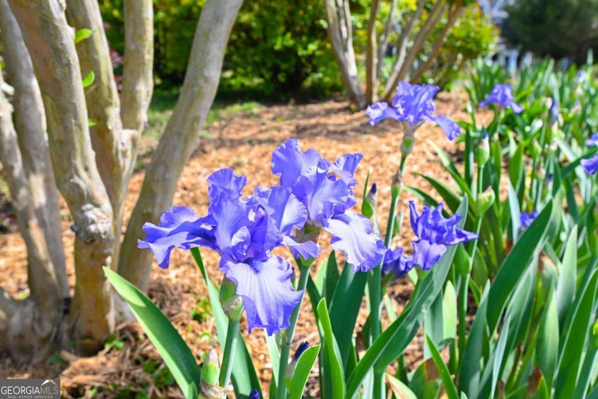 62 Cedar Trail Commerce - Photo 81