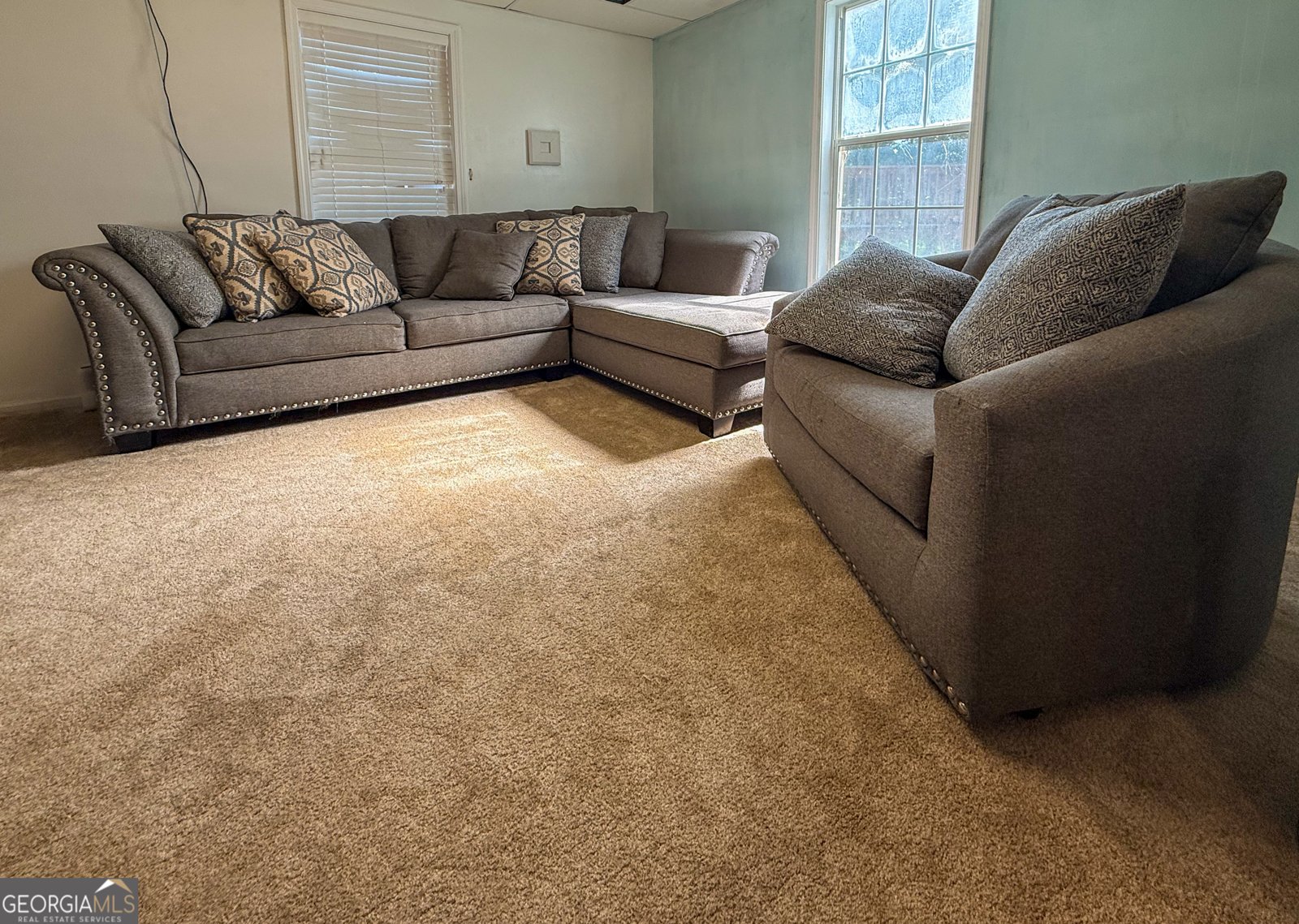 127 Alexander Drive McDonough - Photo 31