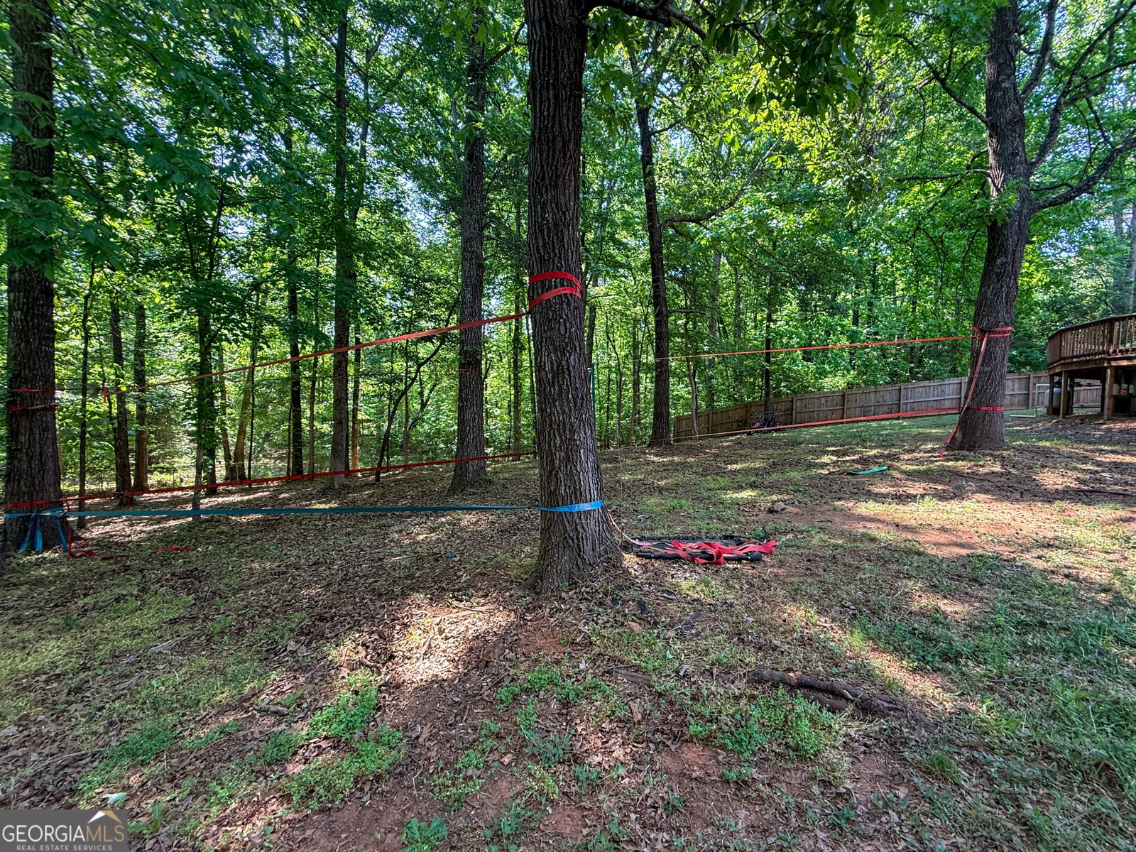 127 Alexander Drive McDonough - Photo 52