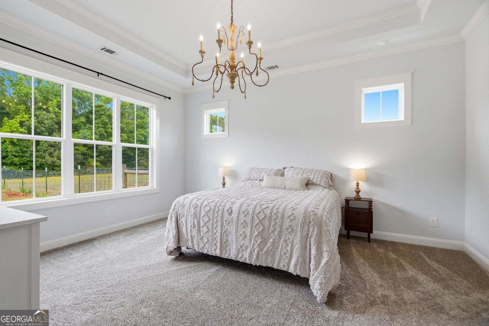 404 Line Creek Road Senoia - Photo 13