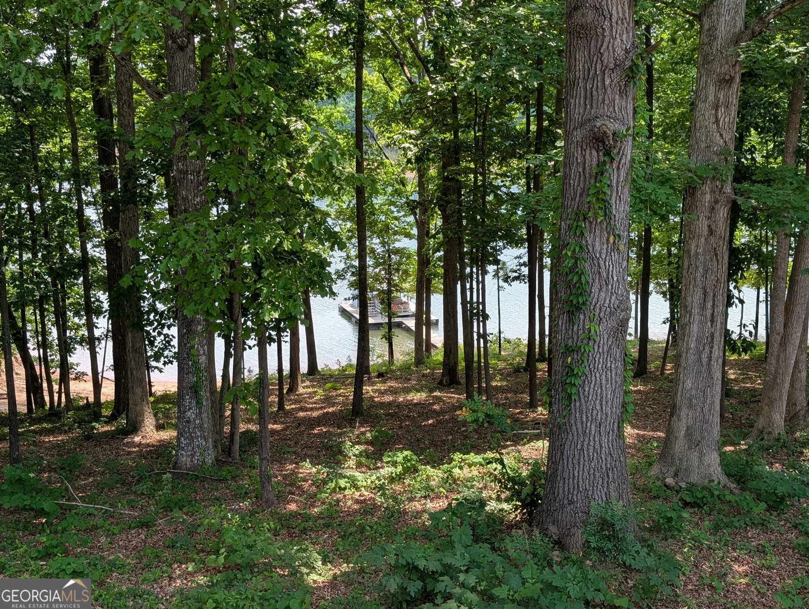 534 Gambrell Road Townville - Photo 14