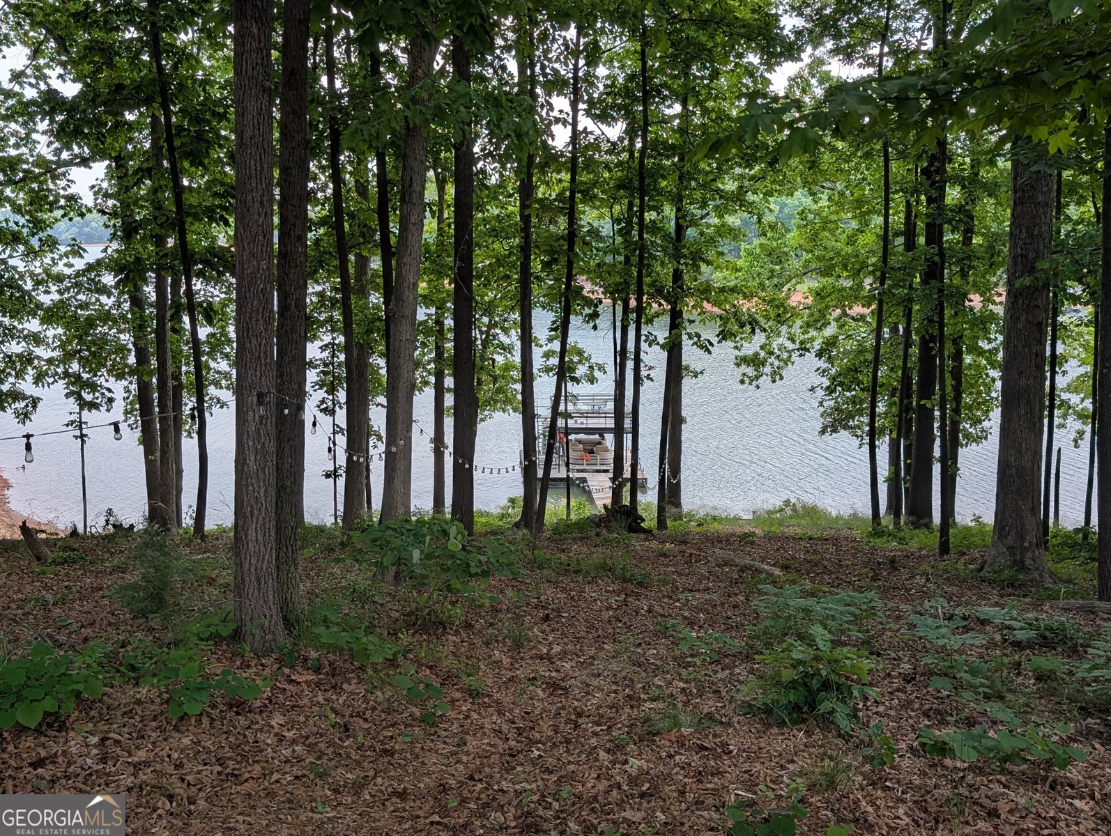 534 Gambrell Road Townville - Photo 8