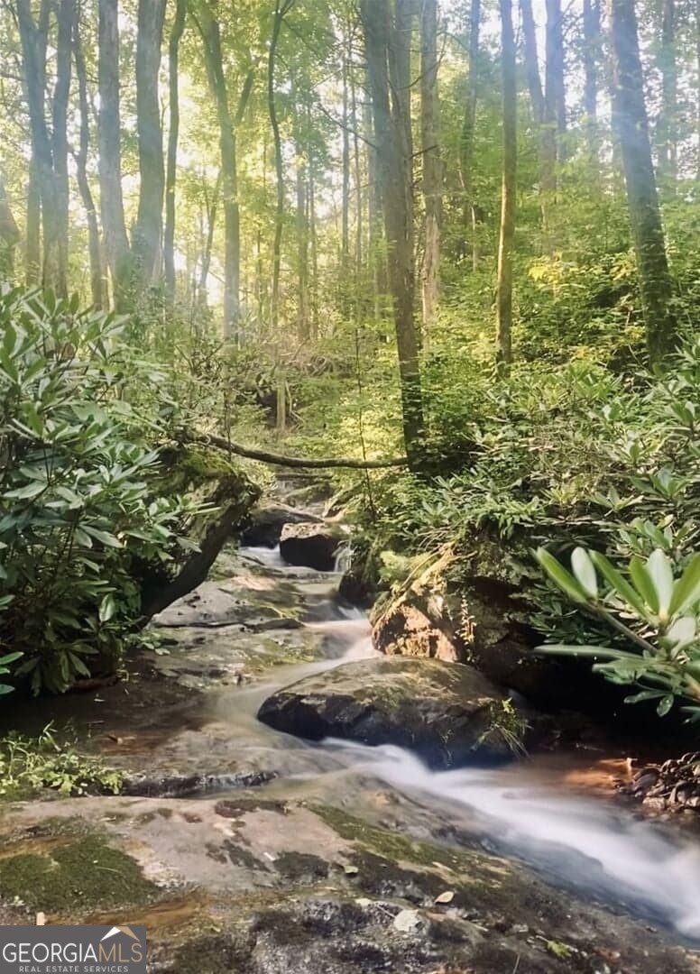 130 Mustang Creek Road Cleveland - Photo 37