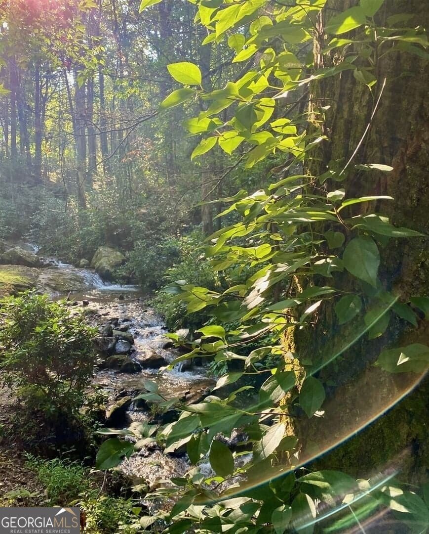 130 Mustang Creek Road Cleveland - Photo 38