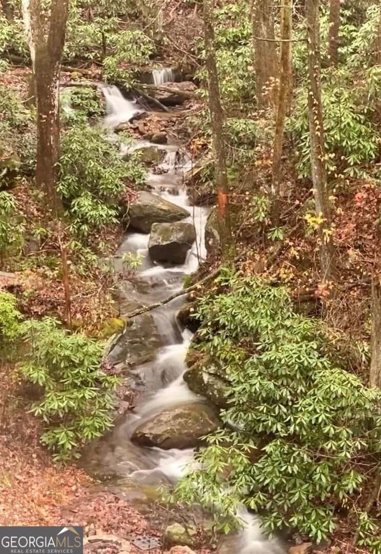 130 Mustang Creek Road Cleveland - Photo 39