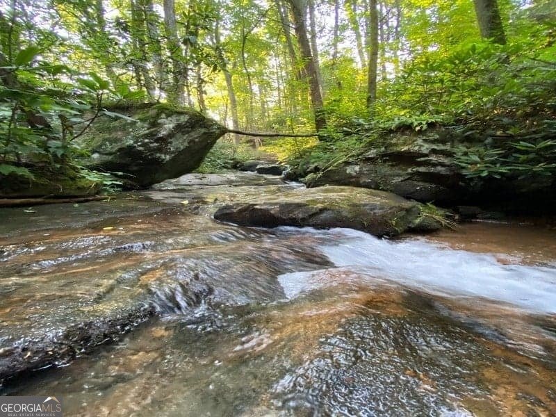 130 Mustang Creek Road Cleveland - Photo 6