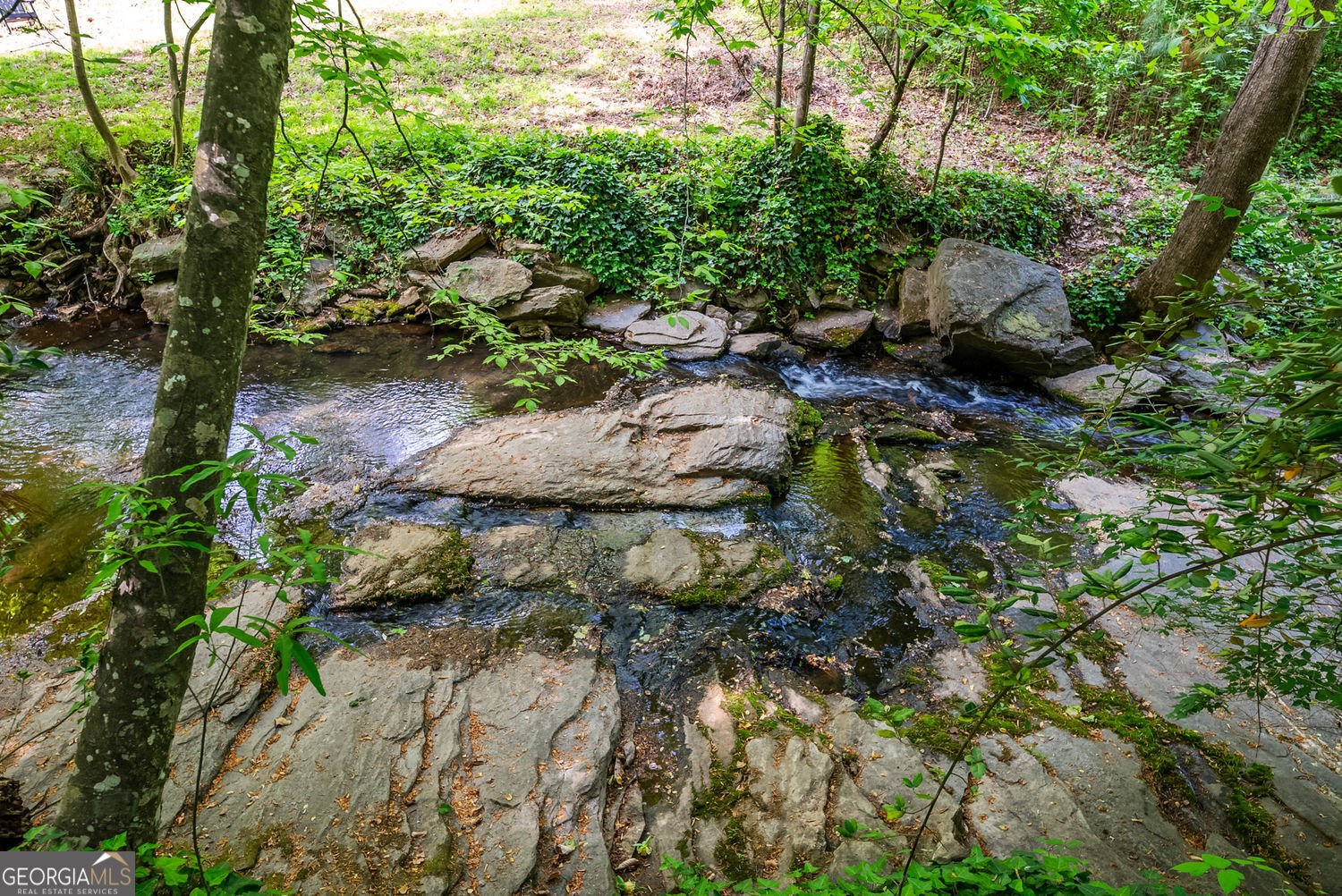 1569 Bubbling Creek Road Brookhaven - Photo 10