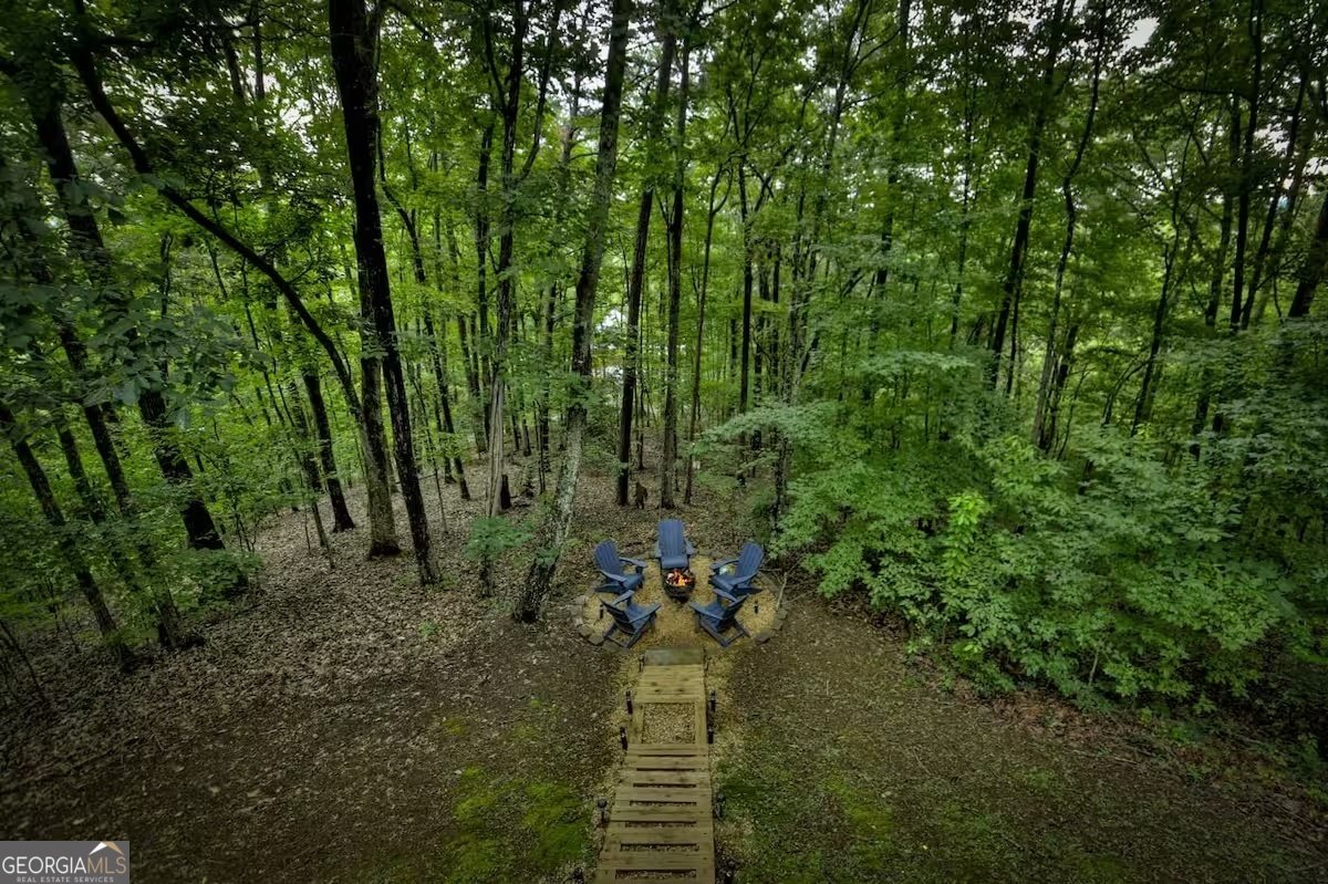 22 Evening Shade Trail Mineral Bluff - Photo 18