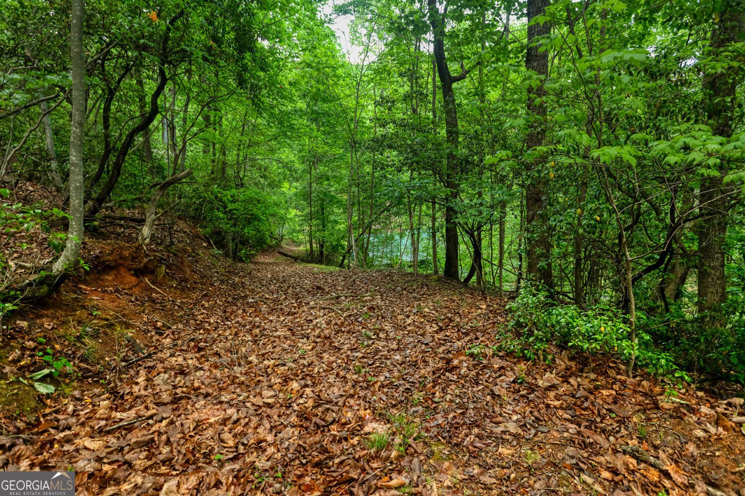 787 Glenns Drive Sautee Nacoochee - Photo 36