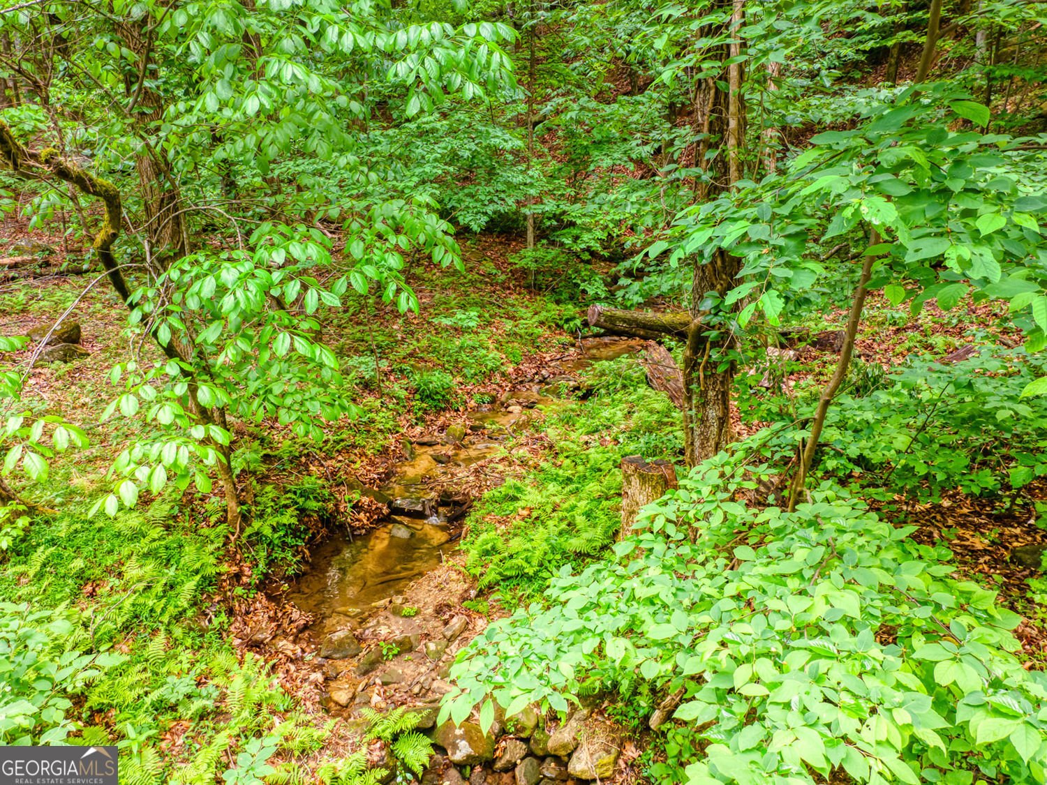 787 Glenns Drive Sautee Nacoochee - Photo 43