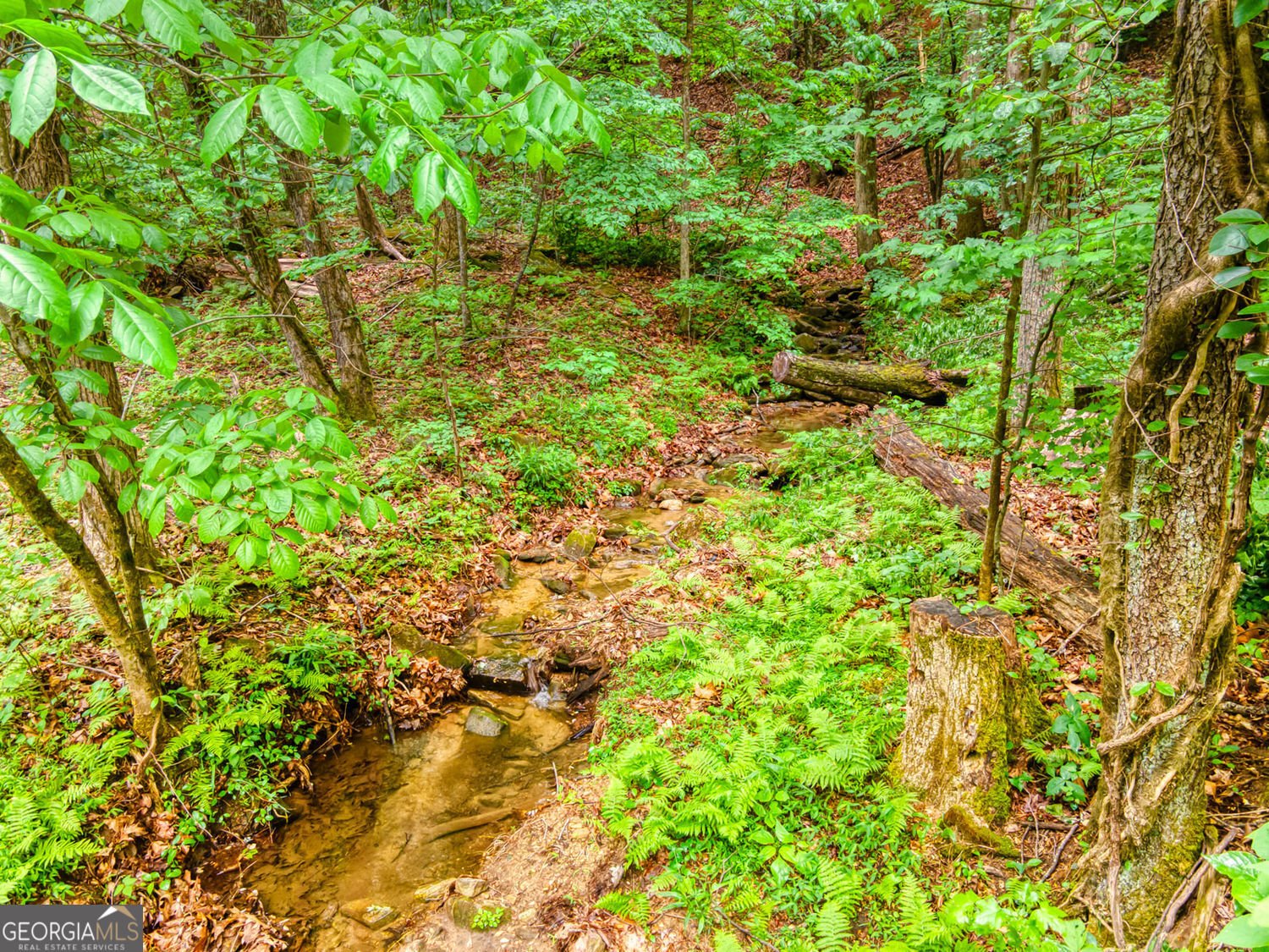 787 Glenns Drive Sautee Nacoochee - Photo 44