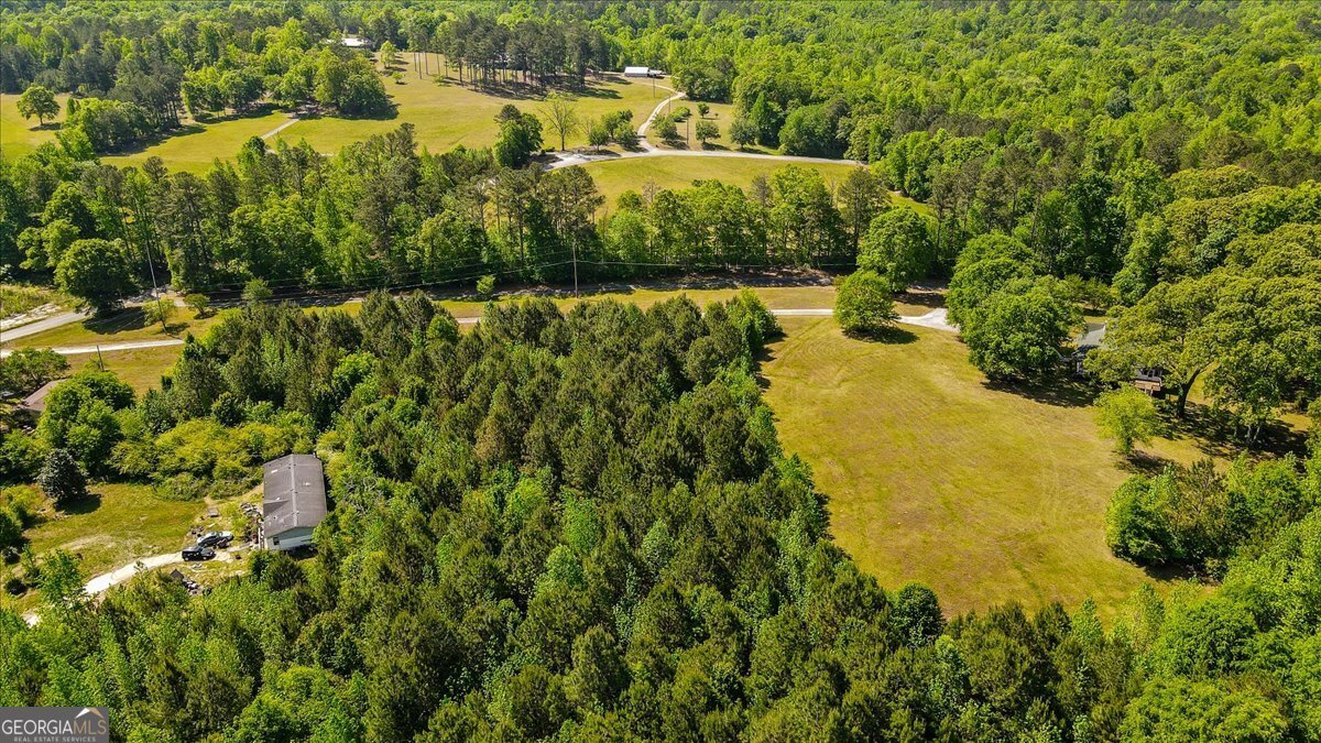 1197 Sweetwater Bend Villa Rica - Photo 54