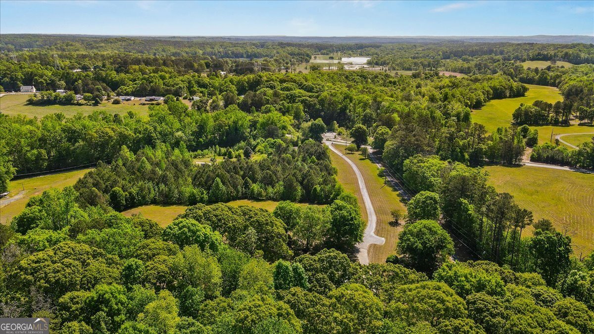 1197 Sweetwater Bend Villa Rica - Photo 57