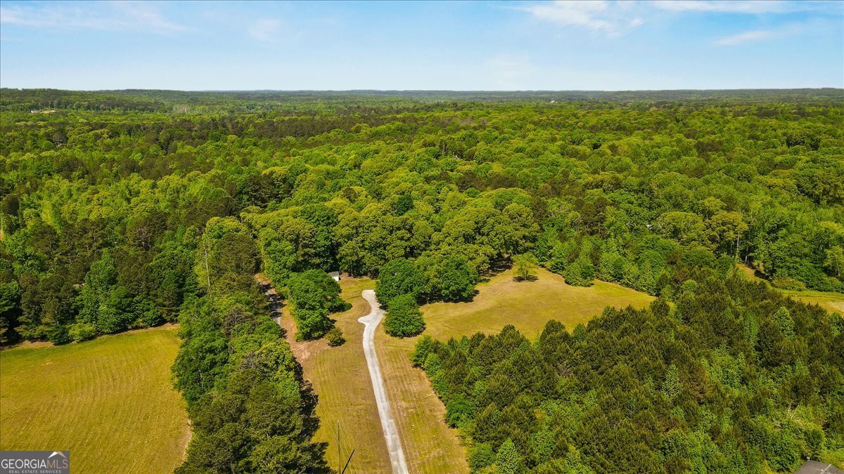 1197 Sweetwater Bend Villa Rica - Photo 59