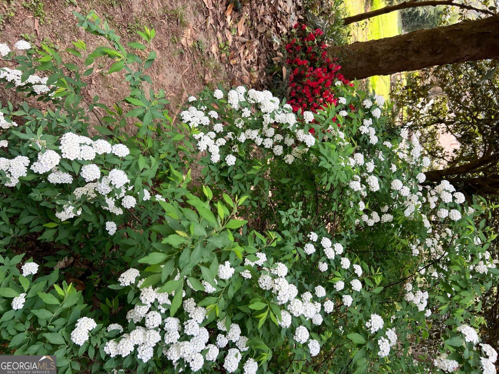 4582 Ridgeland Drive Lilburn - Photo 32